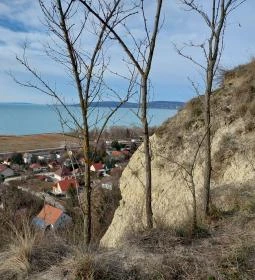 Mária Lélekemelő Emlékhelye