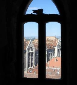 Mária Magdolna Torony