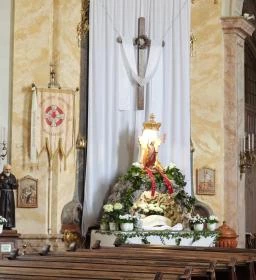 Máriabesnyői Nagyboldogasszony Bazilika