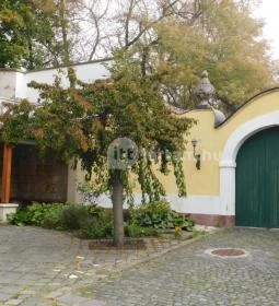 Máriabesnyői Nagyboldogasszony Bazilika