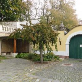 Máriabesnyői Nagyboldogasszony Bazilika Gödöllő - Egyéb