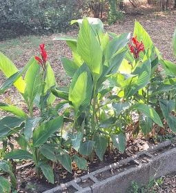 Máriácska-kegyhely