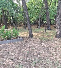 Máriácska-kegyhely