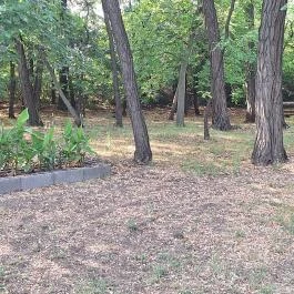 Máriácska-kegyhely Tatárszentgyörgy - Külső kép