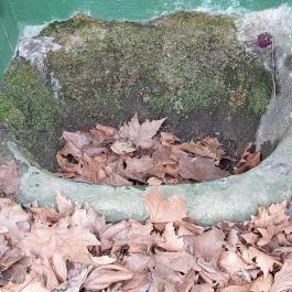 Máriakönnye - Vodica kegyhely Baja - Külső kép