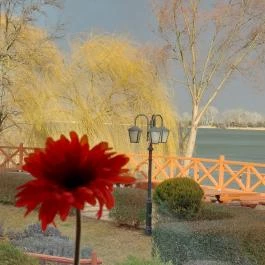 Mártoni Csárda, Szigetszentmárton - Külső kép