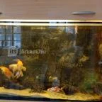 Márvány Étterem Süttő - Belső