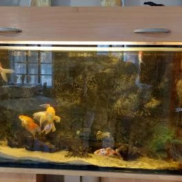 Márvány Étterem , Süttő - Belső