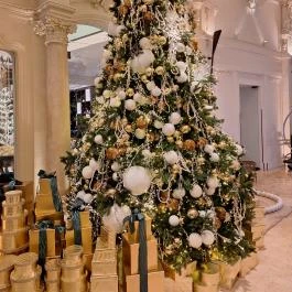 Matild Palace Luxury Collection Hotel Budapest - Egyéb