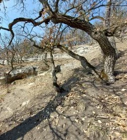 Mátraverebélyi Remete barlangok 