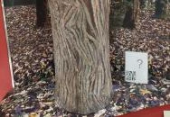 Matrica Múzeum Százhalombatta