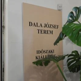 Matyó Múzeum Mezőkövesd - Egyéb