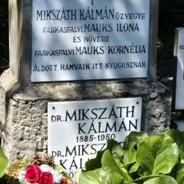 Mauks Ilona és Szontagh Pál nyughelye Horpács - Külső kép