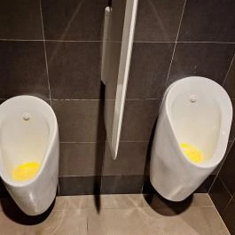 McDonald's Bábolna - Mosdó