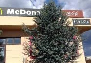 McDonald's - Garibaldi utca Budaörs