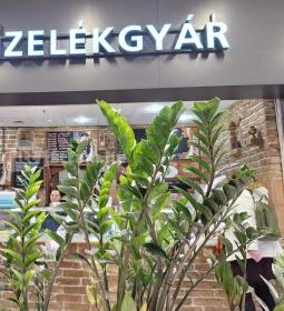 MgFőzi Főzelékgyár - Campona