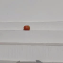 Megvilágosodás sztúpa Becske - Egyéb