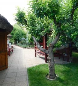 Megyeri Fivérek Borkápolna