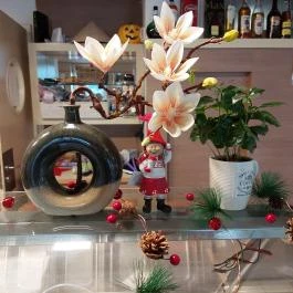 Mekong Restaurant Budapest - Egyéb