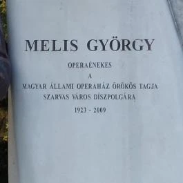 Melis György Szarvas - Egyéb