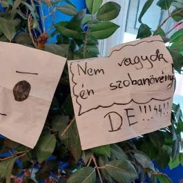 Meme Múzeum, Budapest - Egyéb