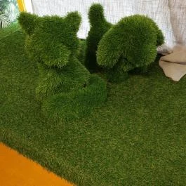 Meme Múzeum, Budapest - Egyéb