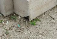 Memento: Az 1945–56 között kivégzettek emlékműve Budapest