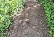 Mendei Kilátó Mende