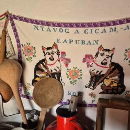 Egy menyasszony stafírungja Terény - Belső