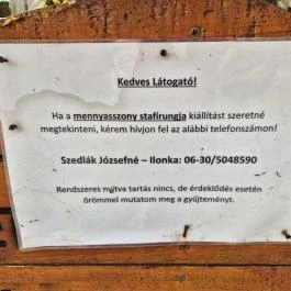 Egy menyasszony stafírungja Terény - Külső kép