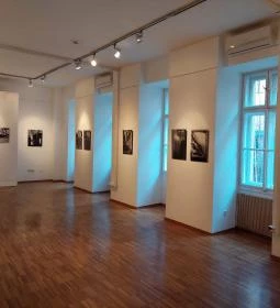 MERKAZ Héber & Izraeli Kulturális Központ 