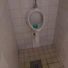 Messzilátó Csárda, Botykapeterd - Mosdó