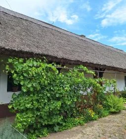 Mezőfalvi Magyar-Sváb Tájház