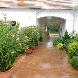 Mi A Kő, Köveskál - Külső kép