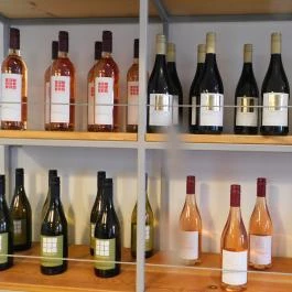 Mi A Kő, Köveskál - Belső