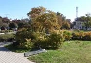 Millennium Park Siófok Siófok