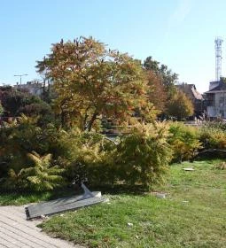 Millennium Park Siófok