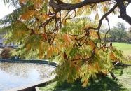 Millennium Park Siófok Siófok