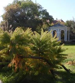Millennium Park Siófok