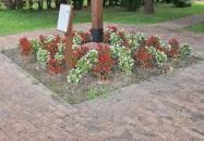 Millenniumi emlékkereszt Vámosszabadi