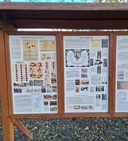 Millenniumi emlékpark