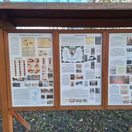 Millenniumi emlékpark, Tass - Egyéb