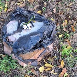 Millenniumi emlékpark, Tass - Egyéb