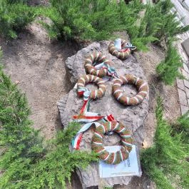 Millenniumi emlékpark, Sárbogárd - Egyéb