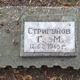 Millenniumi emlékpark, Sárbogárd - Egyéb