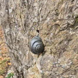 Millenniumi időkapszula, Aba - Külső kép
