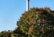 Millenniumi Szent Korona emlékmű Balatonvilágos