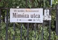 Mimóza Étterem Budapest