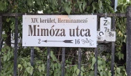 Mimóza Étterem Budapest - Külső kép