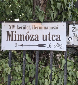 Mimóza Étterem